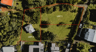 Plaine des Cafres, Petite ferme – Deux parcelles plates et constructibles – Possibilité multiples – Environnement authentique