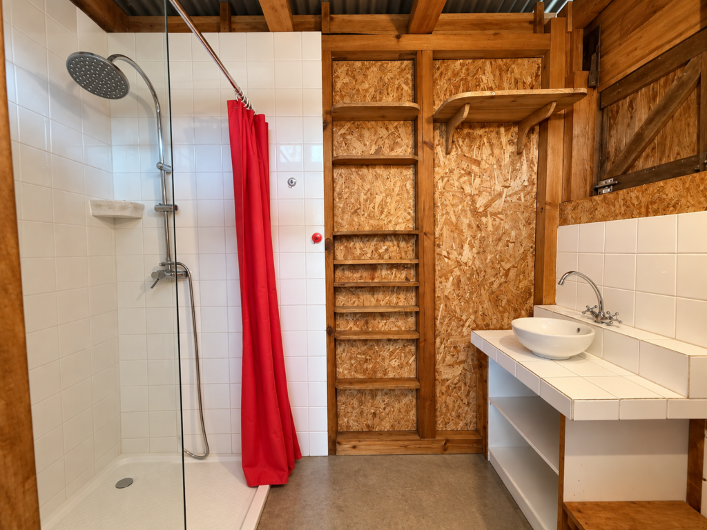 Salle d'eau avec douche et vasque