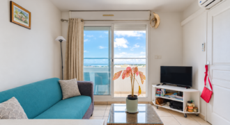 Saint-Denis – Studio avec terrasse et vue mer, idéal investissement locatif – Butor